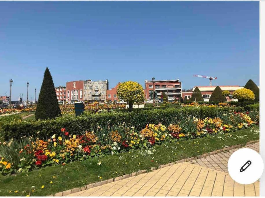 Casa Inca Calais - Duplex Soleil Latino - Parking Free, Station Apartment ภายนอก รูปภาพ